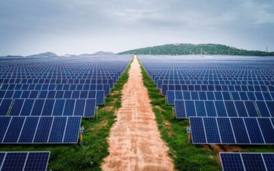 El Consell autoriza cuatro plantas solares en Asprella